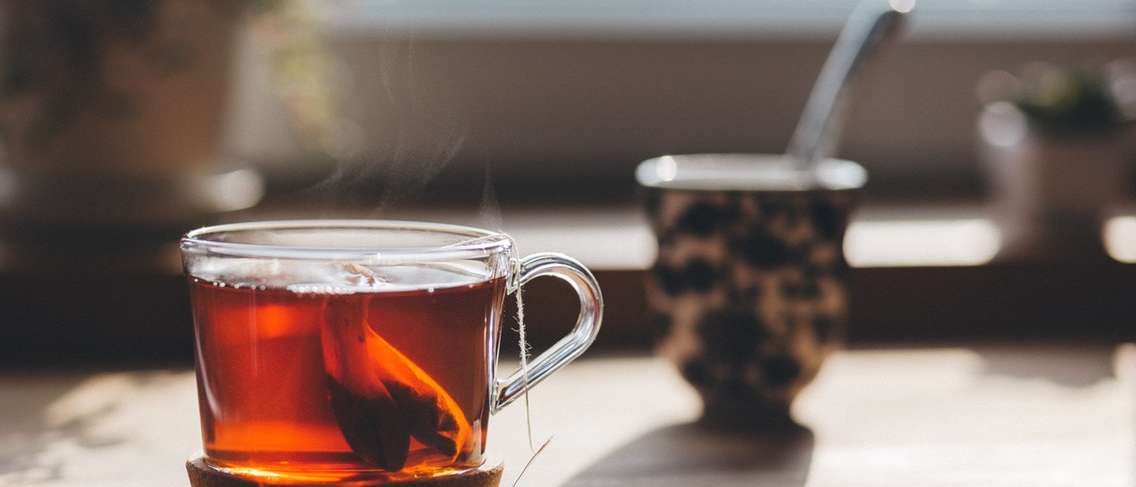 תה חם או תה קר, מה עדיף?