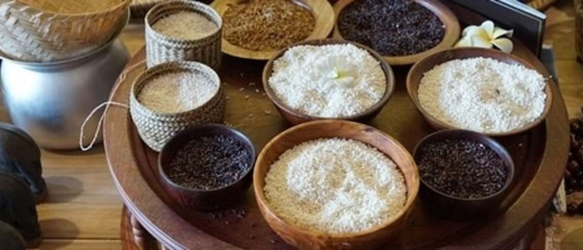 Elección de arroz que es seguro para el consumo de diabéticos