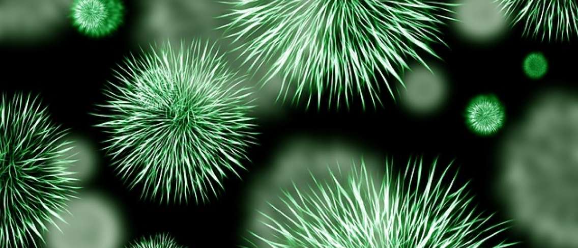 Будьте обережні, ось 5 бактерій, які включають супербактерії!