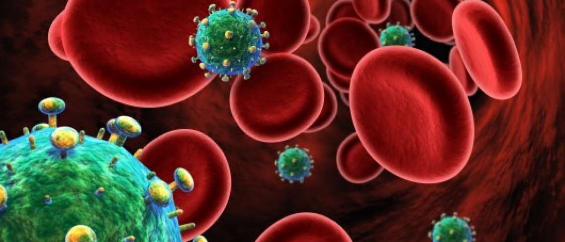 기회 감염: HIV/AIDS 감염자에게 가장 큰 위협