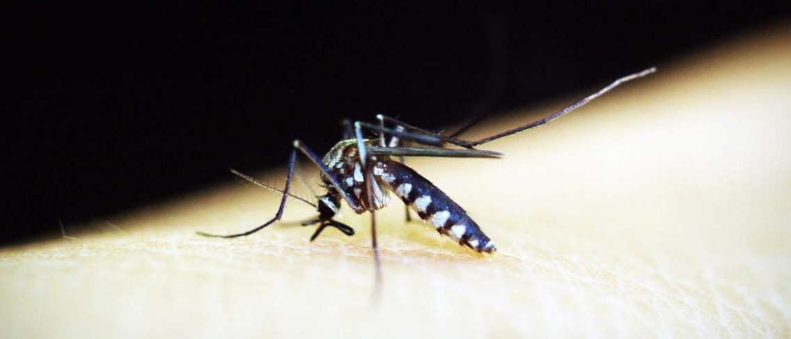 Bądź czujny i zapobiegaj malarii, zanim będzie za późno!