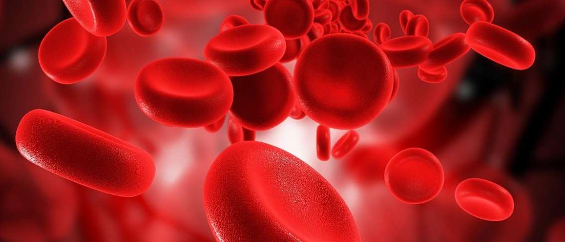 퀴즈: 혈액형에 대한 지식 테스트