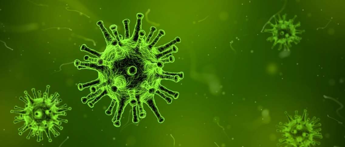 암을 유발할 수 있는 7가지 바이러스