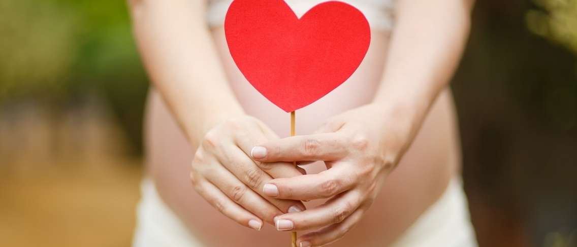 임신 중 자궁의 모양, 기능 및 발달