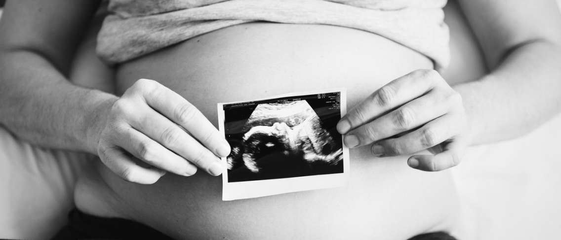 '박스' 탄트리에서 배우다, 톡소플라스마를 예방하기 위해서는 임신 전 토치 테스트가 중요하다