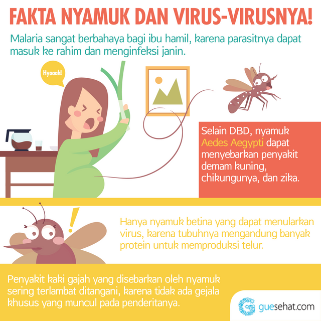 עובדות על יתושים והנגיף